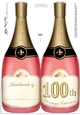 Large DL Happy 100th Birthday Champagne Bottle Shaped Card