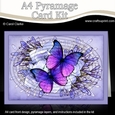 A4 Butterflies & Flowers Oval Pyramage Kit