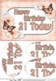 A5 Birthday 21 TODAY Butterflies & Flowers Oval Pyramage Topper