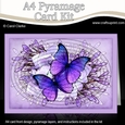 A4 Butterflies & Flowers Oval Pyramage Kit