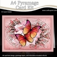 A4 Butterflies & Flowers Oval Pyramage Kit
