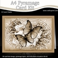 A4 Butterflies & Flowers Oval Pyramage Kit