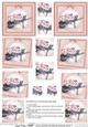Flower Filled Wheelbarrow Twisted Pyramage sheet