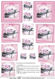 Flower Filled Wheelbarrow Twisted Pyramage sheet