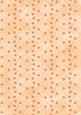 Rose, Lace and Pearls Matching Backing Paper