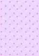 Spring Flowers and Lace Matching Backing Paper