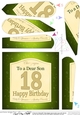 18th Birthday SON Champagne Label Fan Pyramage Topper