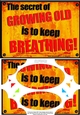 A5 Fun Novelty Senior Moment Scallop Corners & Pyramage