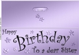 Large DL Birthday Sister quick Cut and Fold Card