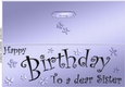 Large DL Birthday Sister quick Cut and Fold Card