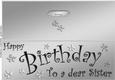Large DL Birthday Sister quick Cut and Fold Card