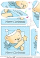 Cute Hunney Bear Robert has a Christmas Star - Fan Pyramage Topper