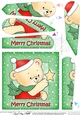 Cute Hunney Bear Robert has a Christmas Star - Fan Pyramage Topper