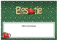 Large DL Merry Christmas BESTIE insert
