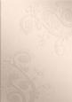Roses and Metallic Lace Matching Vellum