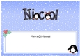 Large DL Merry Christmas NICOL insert