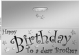 Large DL Birthday BROTHER quick Cut and Fold Card