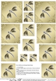 Diamante Dragonfly Pyramage sheet