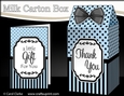 3D Spots & Stripes Milk Carton Treat Box Mini Kit