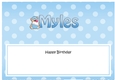 Large DL Happy Birthday MYLES insert