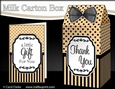 3D Spots & Stripes Milk Carton Treat Box Mini Kit
