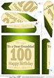 100th Birthday GRANDDAD Champagne Label Fan Pyramage Topper