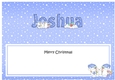 Large DL Merry Christmas JOSHUA insert