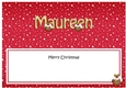 Large DL Merry Christmas MAUREEN insert