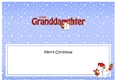 Large DL Merry Christmas GREAT GRANDDAUGHTER insert with Snowball Sam