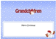 Large DL Merry Christmas GRANDCHILDREN insert with Snowball Sam