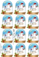 Christmas Snowball Sam Snow Globe Gift Tags