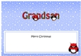 Large DL Merry Christmas GRANDSON insert with Tartan Penguins