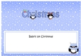 Large DL Merry Christmas BABYS 1st CHRISTMAS insert with Penguins