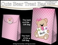 3D Mothers Day Gift Bag Mini Kit - Cute Little Teddy Bear