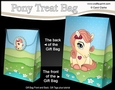 3D Gift Bag Mini Kit - Cute Little Pony Buttercup 