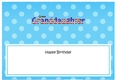 Large DL Happy Birthday GREAT GRANDDAUGHTER insert USA Stars & Stripes