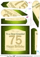 75th Birthday Grandad Champagne Fan Pyramage Topper