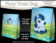3D Gift Bag Mini Kit - Cute Little Pony Moondancer