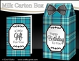 3D Tartan Milk Carton Treat Box Mini Kit