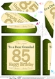 85th Birthday Grandad Champagne Fan Pyramage Topper