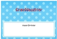 Large DL Happy Birthday GRANDDAUGHTER insert UK Union Jack