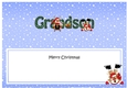 Large DL Merry Christmas GRANDSON insert