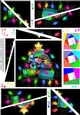 Merry Christmas Gadgets n Gizmos Twisted Spiral Side Stacker