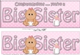 Large DL Ethnic New Baby Congratulations you are a ... BIG SISTER 3D decoupage
