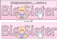 Large DL New Baby Congratulations you are a ... BIG SISTER 3D decoupage