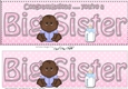 Large DL Ethnic New Baby Congratulations you are a ... BIG SISTER 3D decoupage