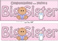 Large DL Ethnic New Baby Congratulations you are a ... BIG SISTER 3D decoupage