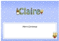 Large DL Merry Christmas CLAIRE insert