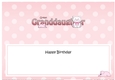 Large DL Happy Birthday GREAT GRANDDAUGHTER insert with Cute Cat