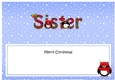 Large DL Merry Christmas SISTER insert with Tartan Penguins